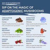 Mushroom Hot Cocoa - Select MG2969