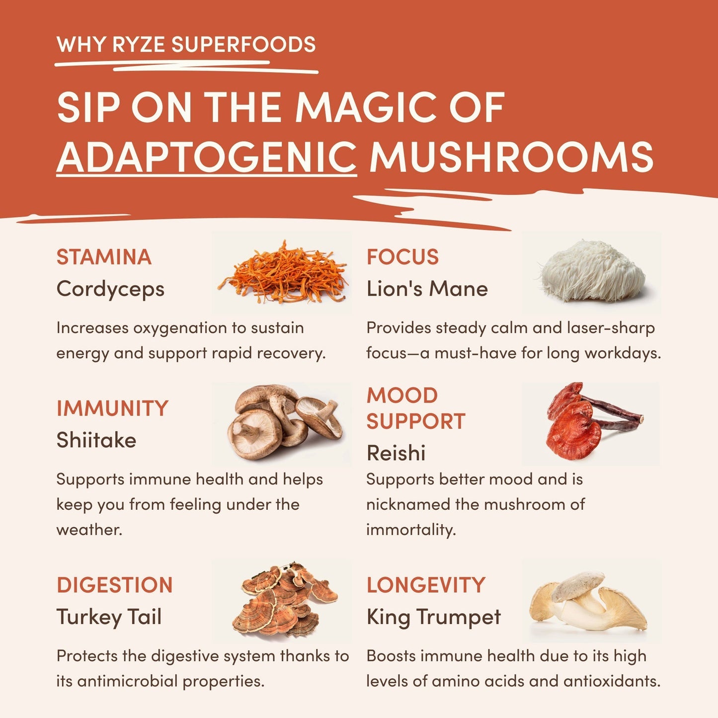 Superfood Creamer - Select MG2875